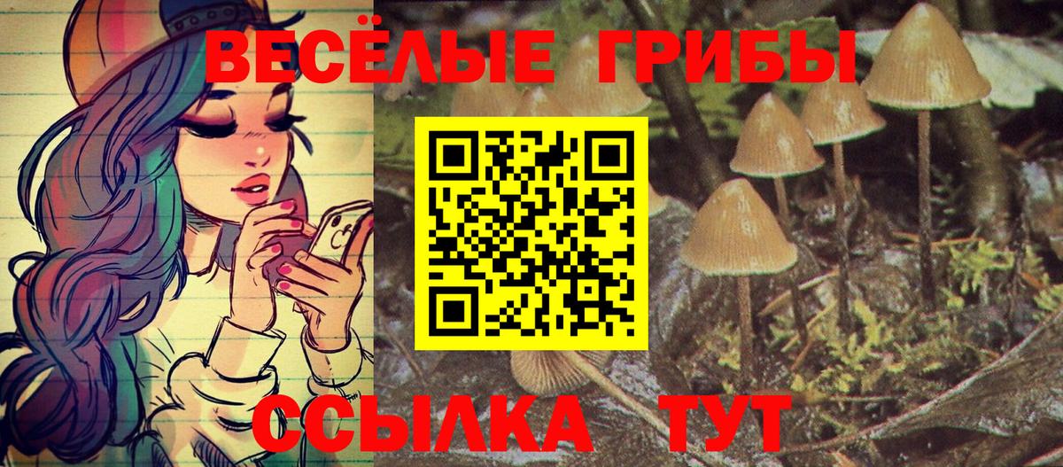 Галлюциногенные грибы Psilocybine cubensis Октябрьский