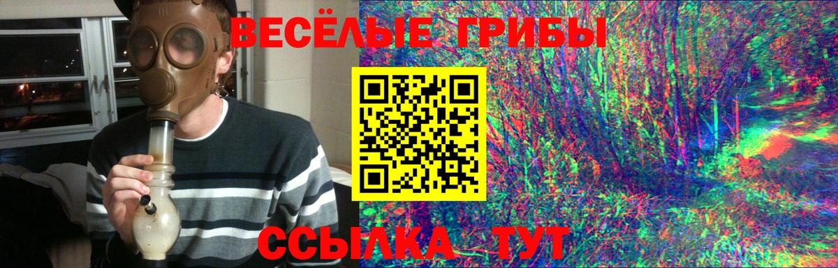 Галлюциногенные грибы ЛСД  купить  сайты  Галлюциногенные грибы GOLDEN TEACHER  Октябрьский  Вход с VPN 